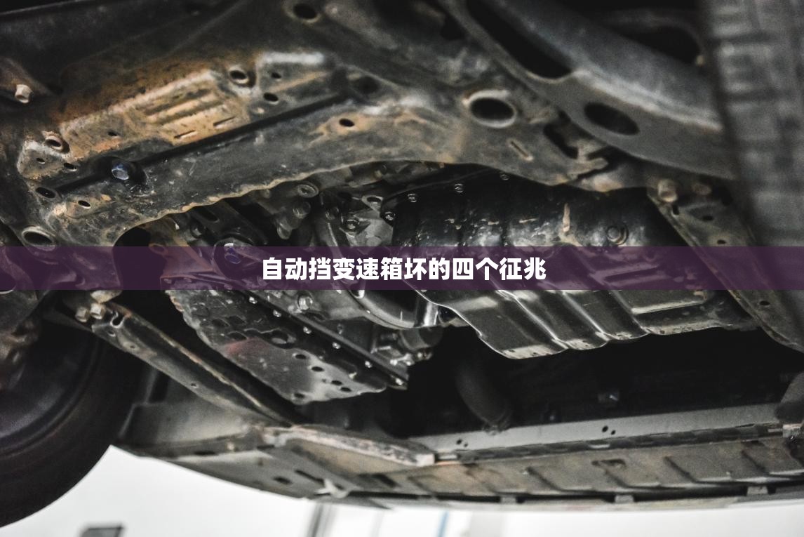 台风巴威会影响葫芦岛吗？