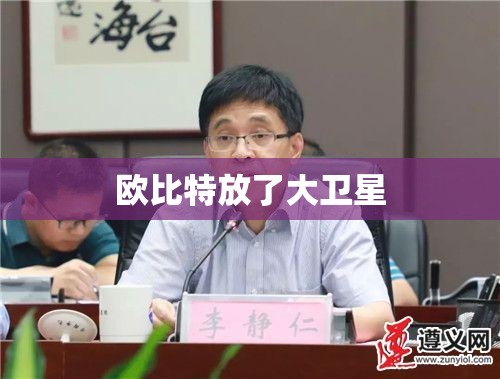 欧比特放了大卫星 欧比特放了大卫星