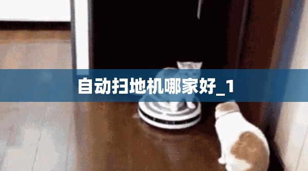 自动扫地机哪家好_1 自动扫地机哪家好_1