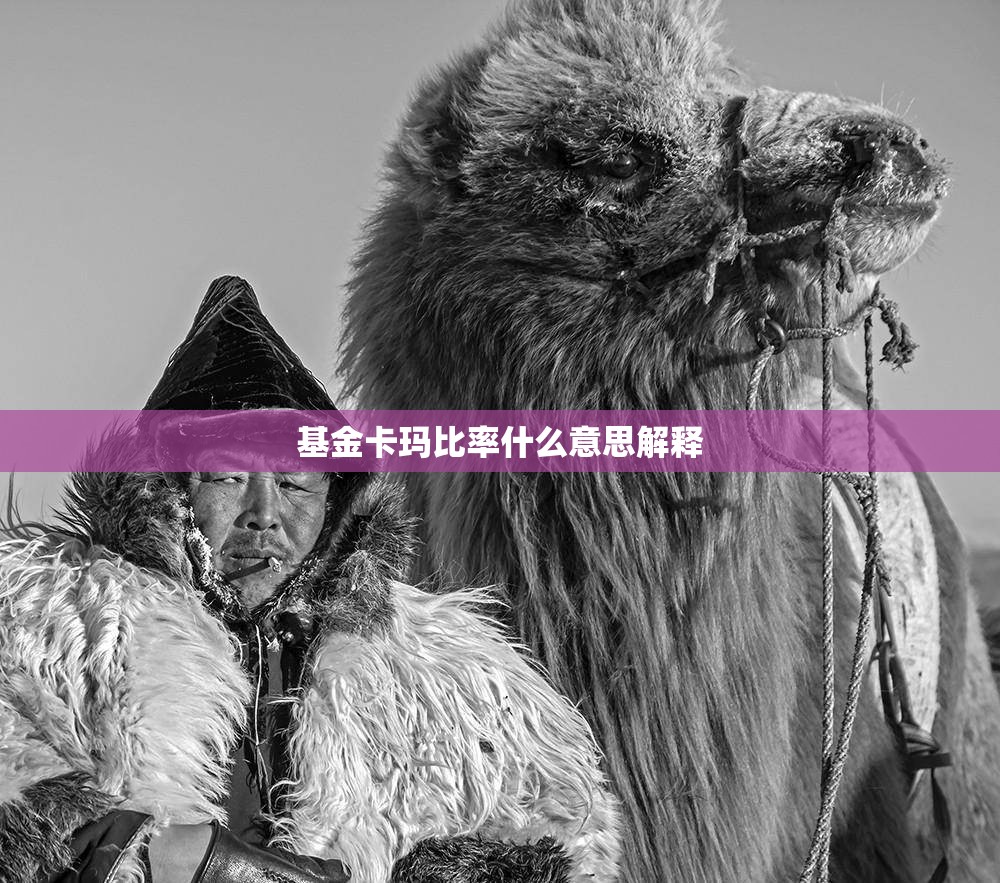 基金卡玛比率什么意思解释