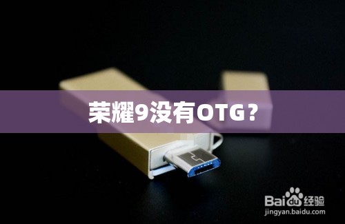 荣耀9没有OTG？