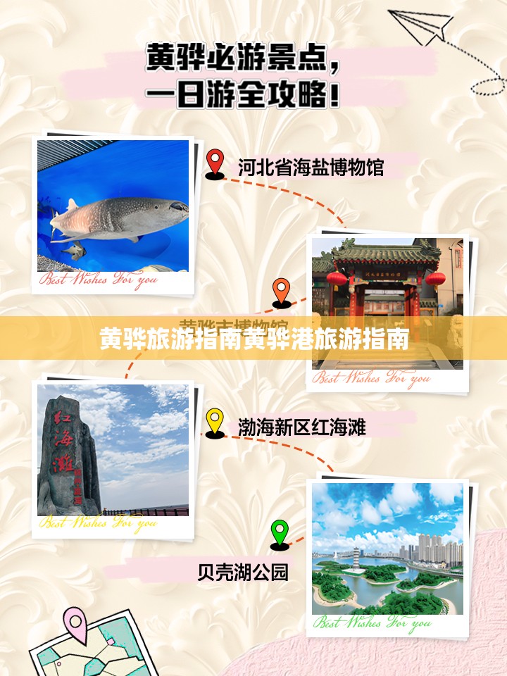 国产车膜什么牌子好