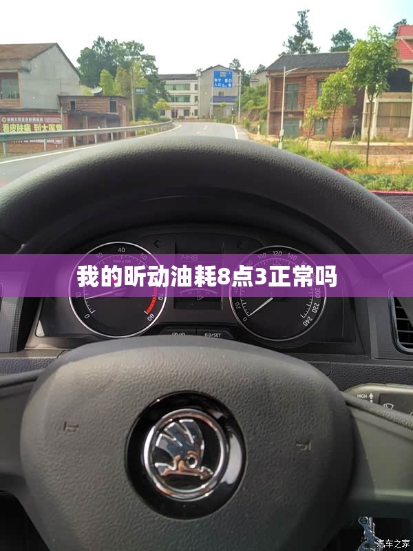 我的昕动油耗8点3正常吗