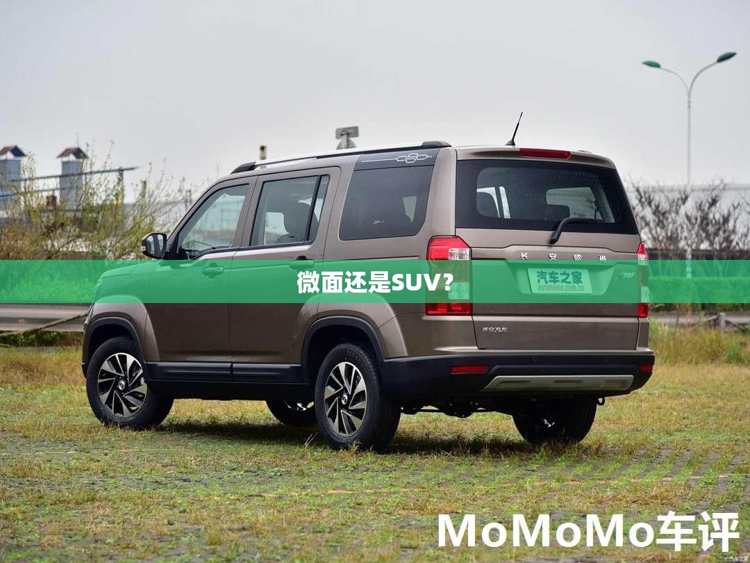 微面还是SUV？