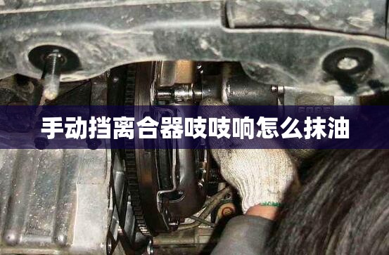 手动挡离合器吱吱响怎么抹油