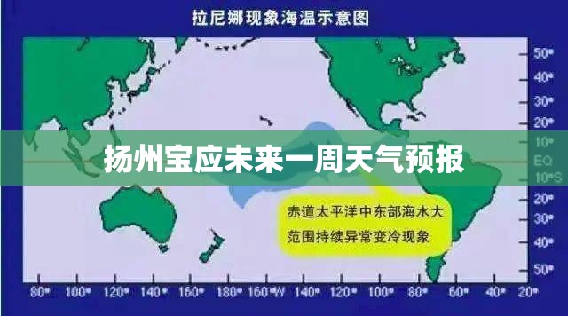 有哪些地方可以租房车？