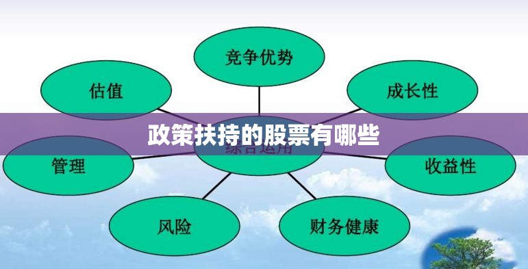 政策扶持的股票有哪些 政策扶持的股票有哪些