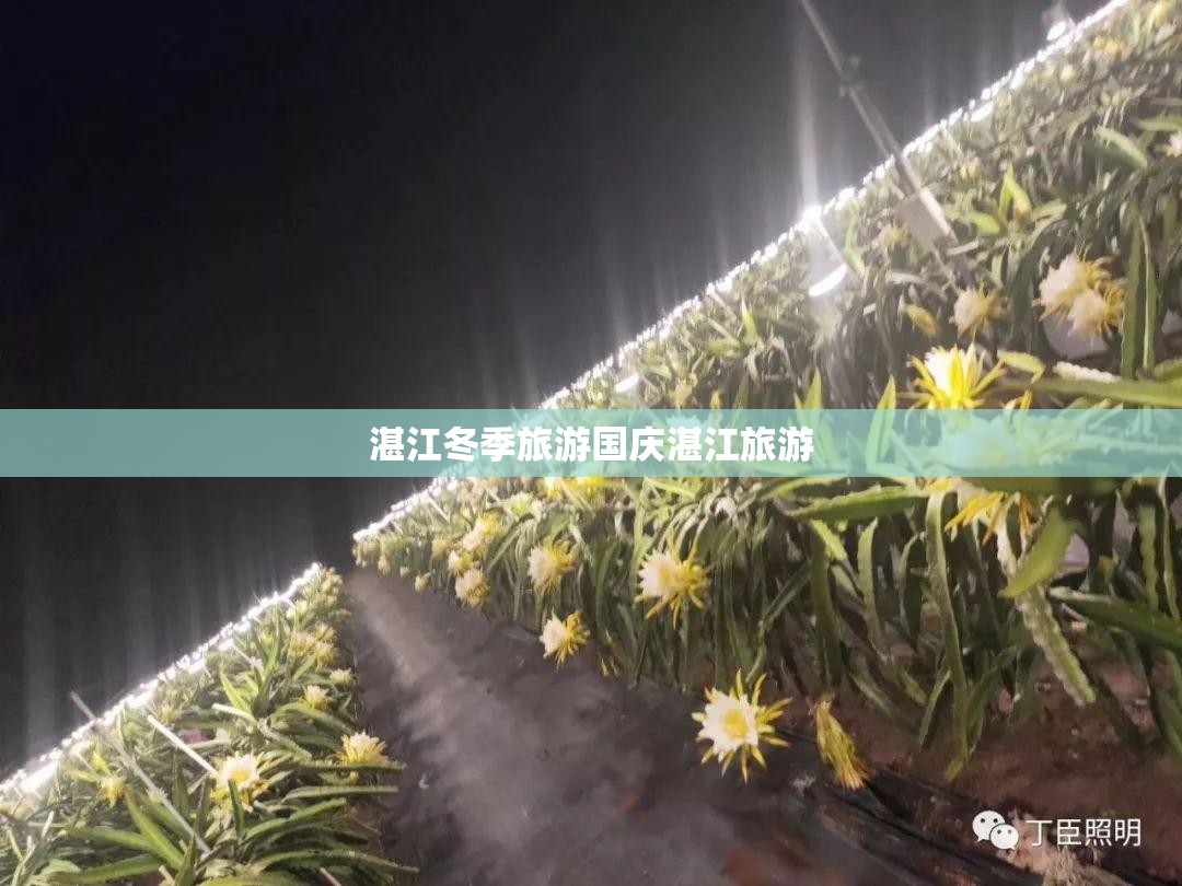 湛江冬季旅游国庆湛江旅游 湛江冬季旅游国庆湛江旅游