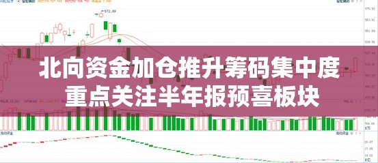 北向资金加仓推升筹码集中度 重点关注半年报预喜板块
