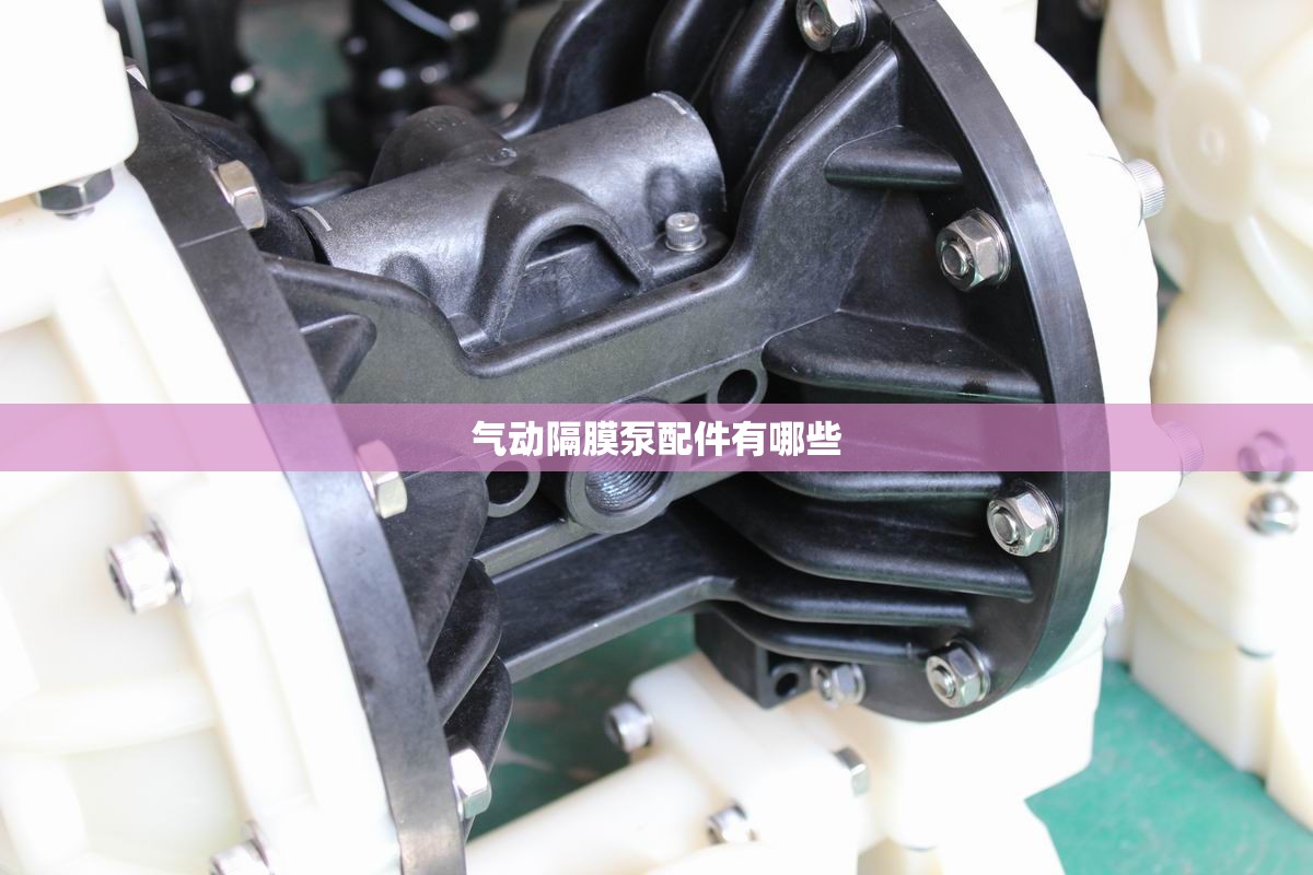 气动隔膜泵配件有哪些 气动隔膜泵配件有哪些