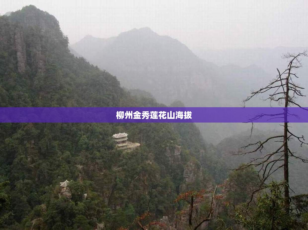 十大货运平台排名