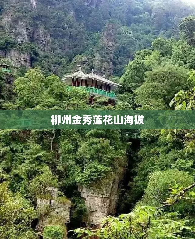 柳州金秀莲花山海拔 柳州金秀莲花山海拔