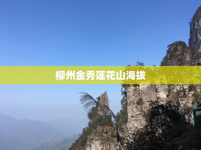 柳州金秀莲花山海拔 柳州金秀莲花山海拔