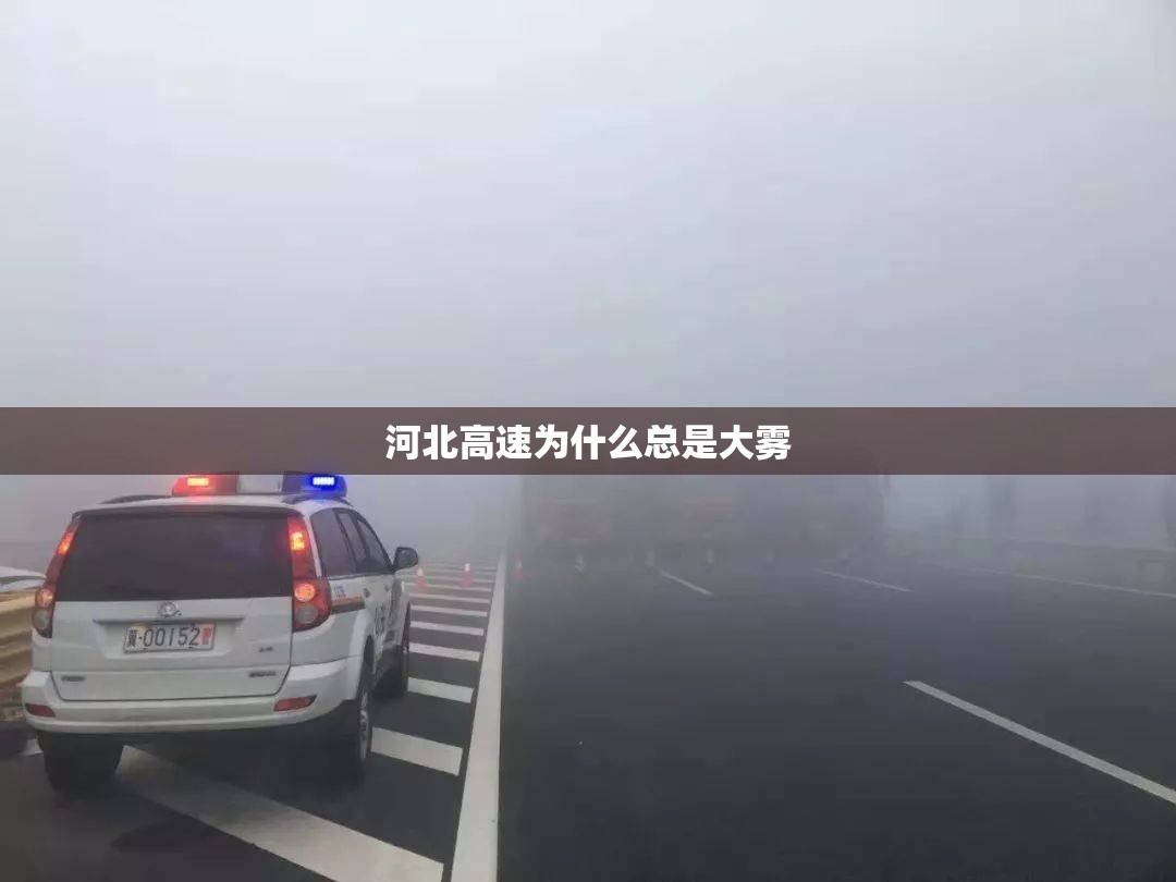 关于会计知识普及的小故事