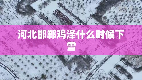 河北邯郸鸡泽什么时候下雪