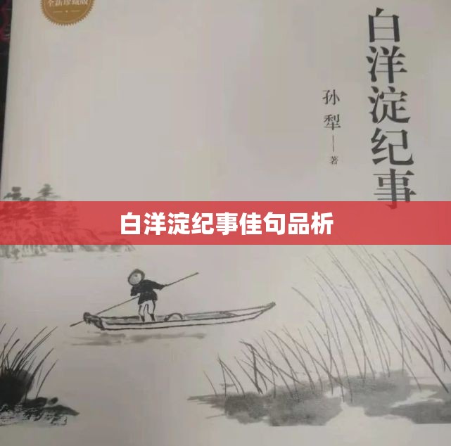 白洋淀纪事佳句品析