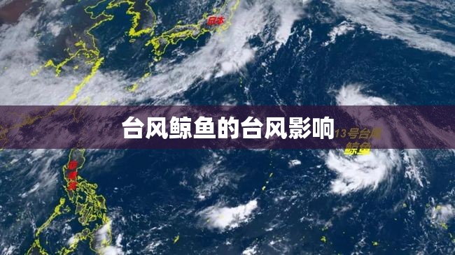 白洋淀纪事佳句品析