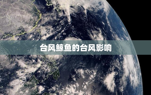 台风鲸鱼的台风影响