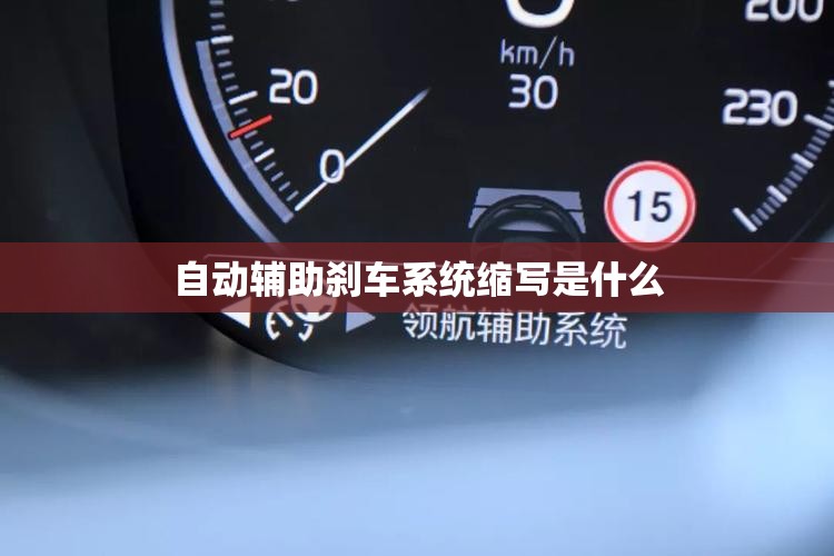 自动辅助刹车系统缩写是什么 自动辅助刹车系统缩写是什么