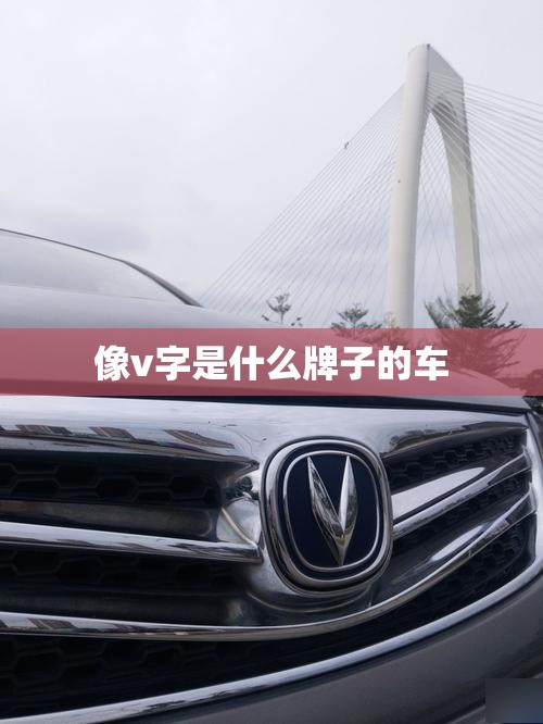 大众新捷达投保玻璃险