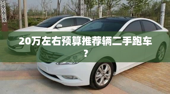 20万左右预算推荐辆二手跑车? 20万左右预算推荐辆二手跑车?