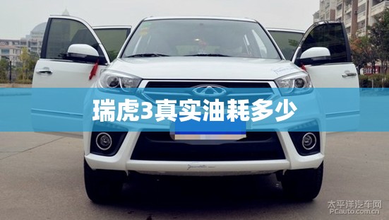 瑞虎3真实油耗多少
