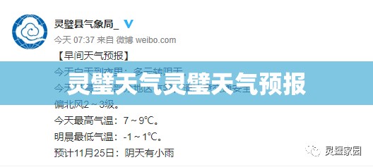 瑞虎3真实油耗多少