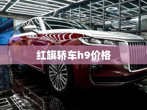 红旗轿车h9价格 红旗轿车h9价格