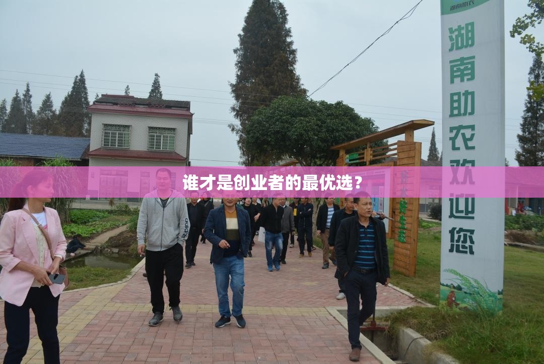 谁才是创业者的最优选？