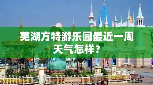 谁才是创业者的最优选？
