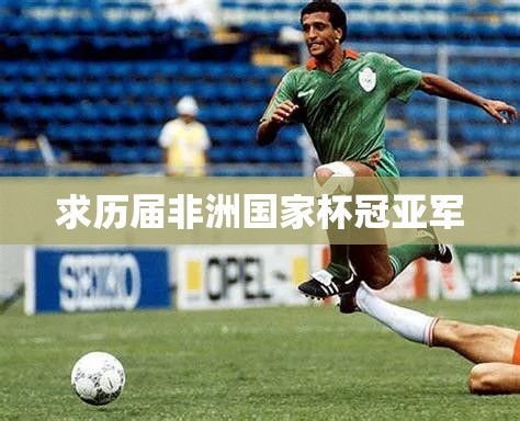 求历届非洲国家杯冠亚军