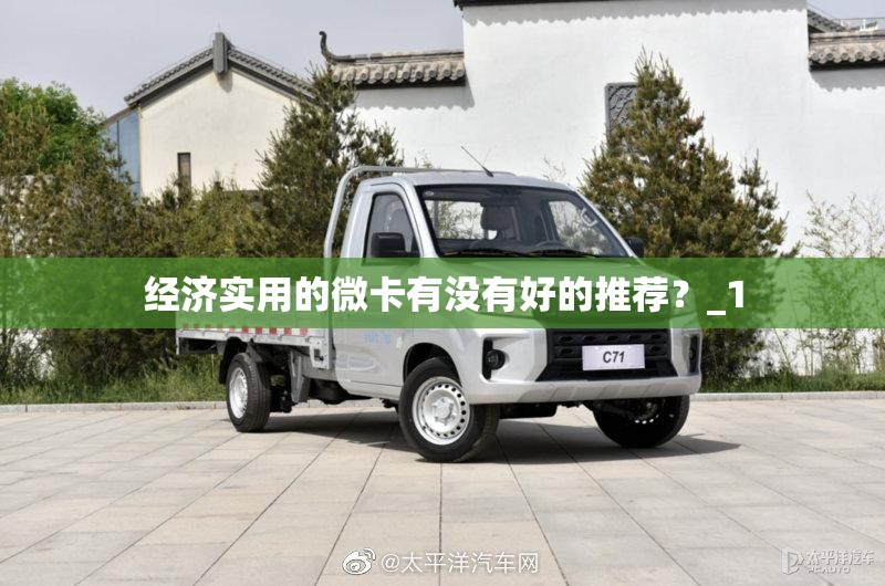 经济实用的微卡有没有好的推荐？_1