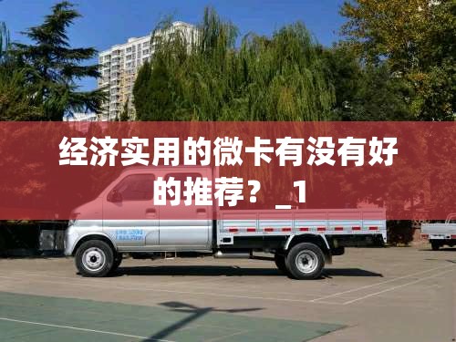 经济实用的微卡有没有好的推荐？_1