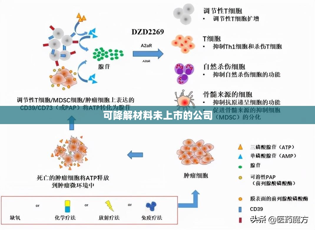 可降解材料未上市的公司 可降解材料未上市的公司