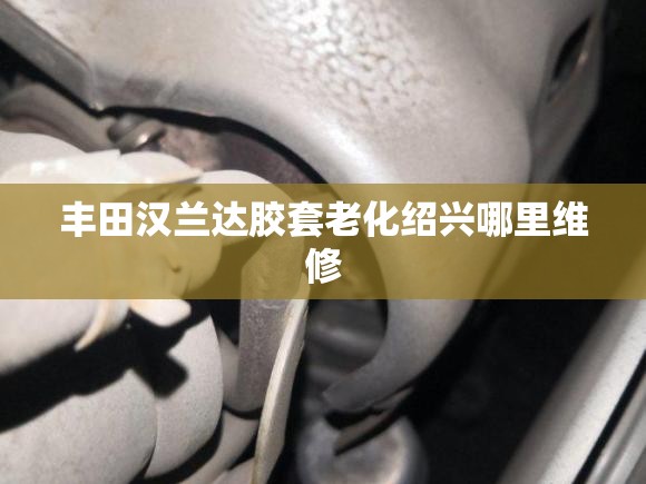 丰田汉兰达胶套老化绍兴哪里维修 丰田汉兰达胶套老化绍兴哪里维修
