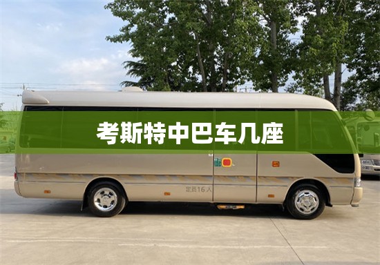 考斯特中巴车几座