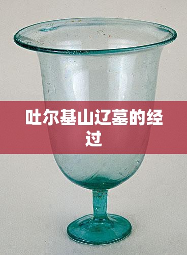 吐尔基山辽墓的经过