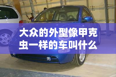 大众的外型像甲克虫一样的车叫什么