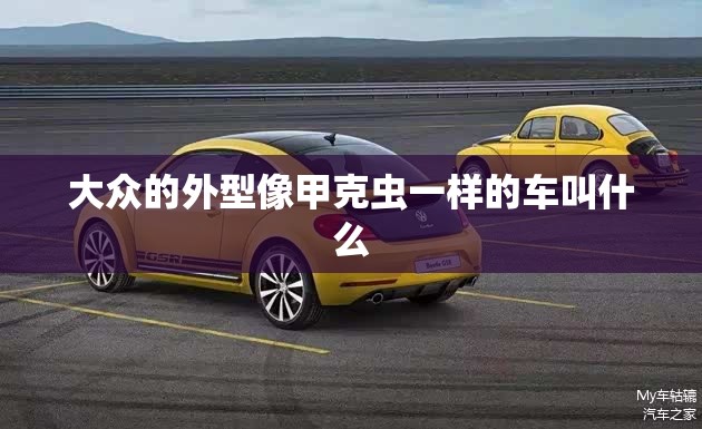 上汽通用金融电话号码是什么？
