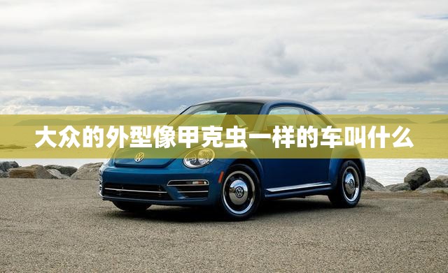 大众的外型像甲克虫一样的车叫什么