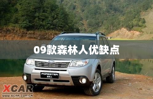 大众的外型像甲克虫一样的车叫什么