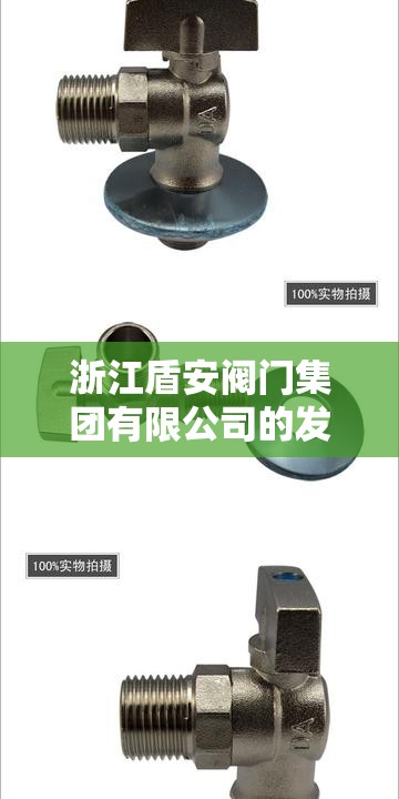 浙江盾安阀门集团有限公司的发展之路