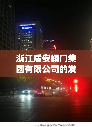 浙江盾安阀门集团有限公司的发展之路
