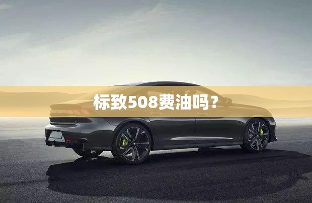 标致508费油吗？