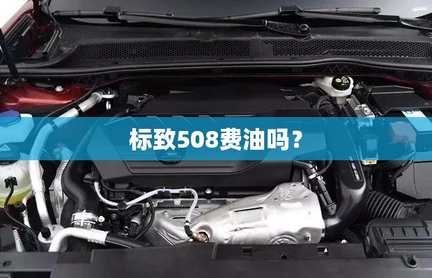 农商银行网点是什么-