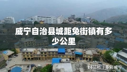 大众越野车有哪几款