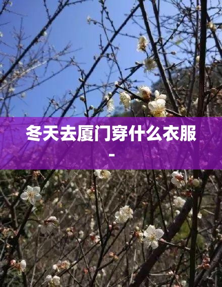 冬天去厦门穿什么衣服- 冬天去厦门穿什么衣服-