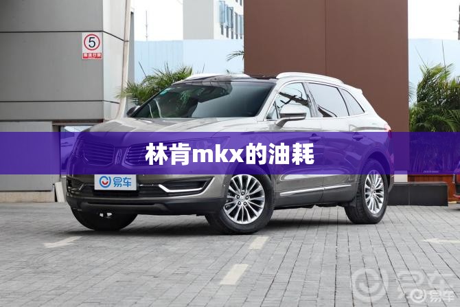 林肯mkx的油耗