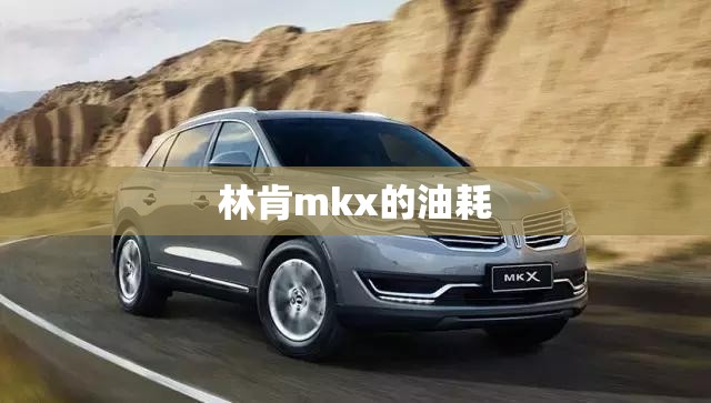 林肯mkx的油耗