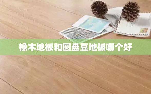 橡木地板和圆盘豆地板哪个好 橡木地板和圆盘豆地板哪个好